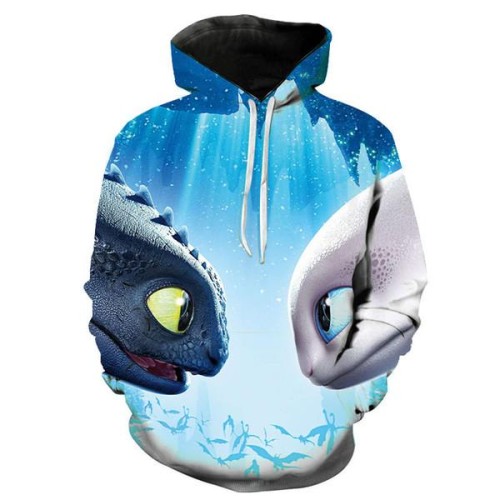 cartoon-how-to-train-your-dragon-the-hidden-world-3d-print-hoodies-casual-c.jpg