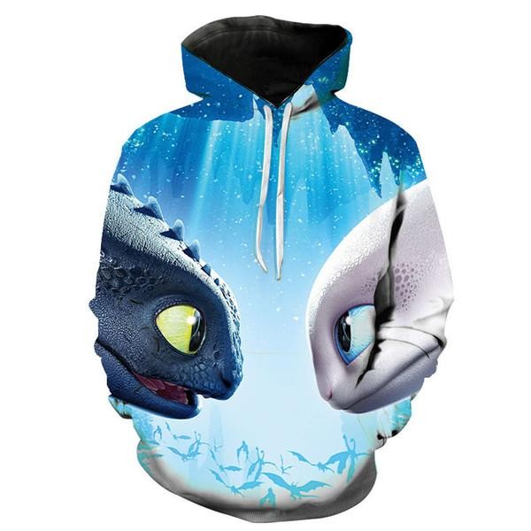 cartoon-how-to-train-your-dragon-the-hidden-world-3d-print-hoodies-casual-c.jpg