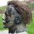 description-image-9.jpeg