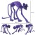 main-image-5.jpeg